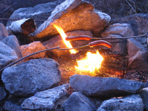 Hot dogs over fire logs